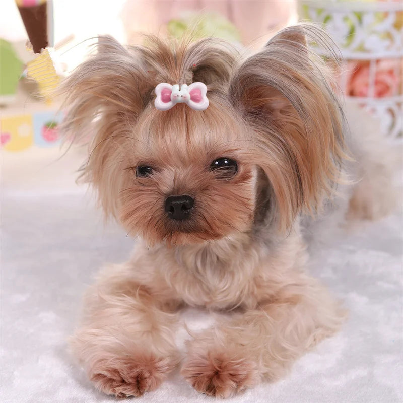 Cute Dog Hair Clips Rabbit Shape Dog Clips Pet Hairpin Cute Puppy Hair Decor Bows Girls Gifts for Small Dogs Supplies