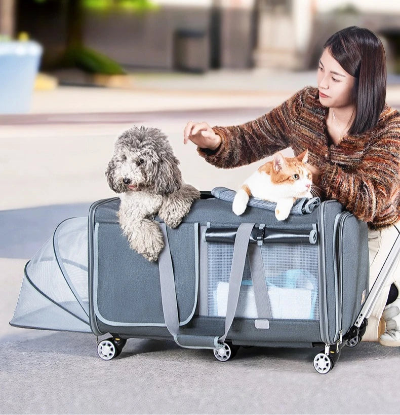 30kg Heavy-Duty Foldable Pet Carrier for Dogs/Cats - All-Terrain Trolley with Removable Wheels, Breathable XXL Travel Stroller