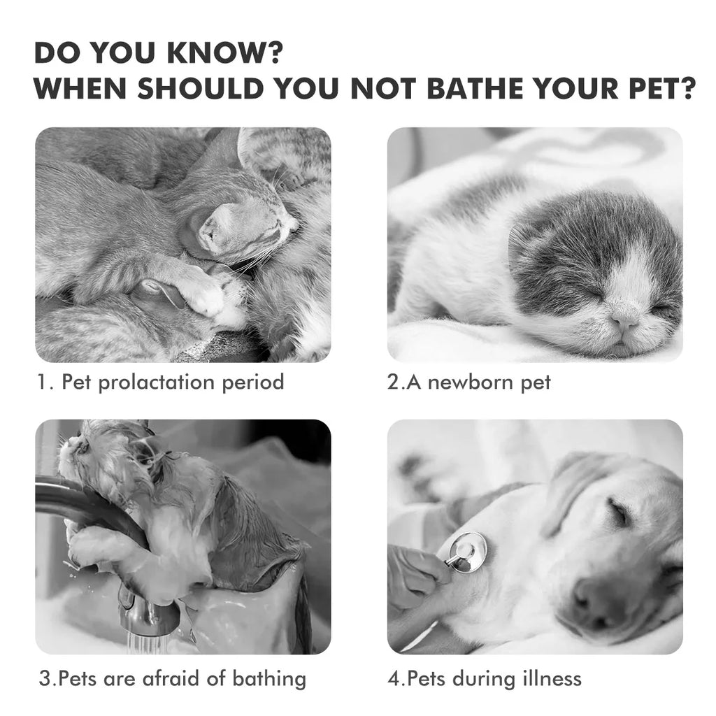 Dog Uses Mousse Pet Cleaning and Care Agent To Remove Floating Hair Stains Clean Sterilization Without Rinsing Shampoo Deodorant