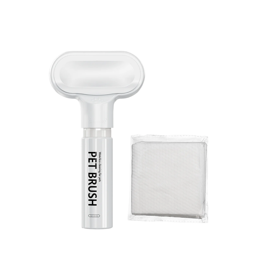 Dog Uses Mousse Pet Cleaning and Care Agent To Remove Floating Hair Stains Clean Sterilization Without Rinsing Shampoo Deodorant