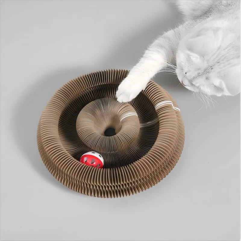 Kitten Curl Toy Foldable Magic Organ Cat Scratching Board Durable Recyclable Cardboard Cat Scratcher Cat Bed Interactive Scratch