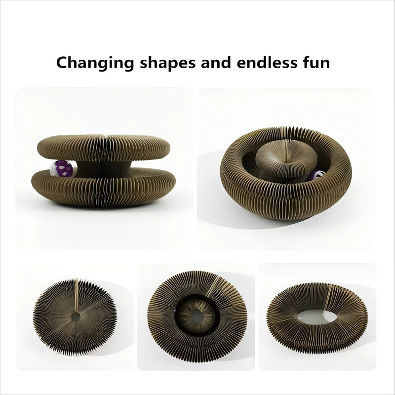 Kitten Curl Toy Foldable Magic Organ Cat Scratching Board Durable Recyclable Cardboard Cat Scratcher Cat Bed Interactive Scratch